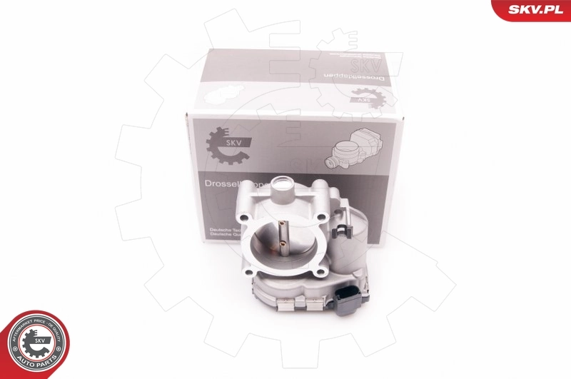 Throttle Body